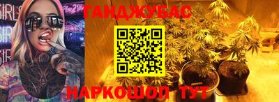 Альфа ПВП Бийск