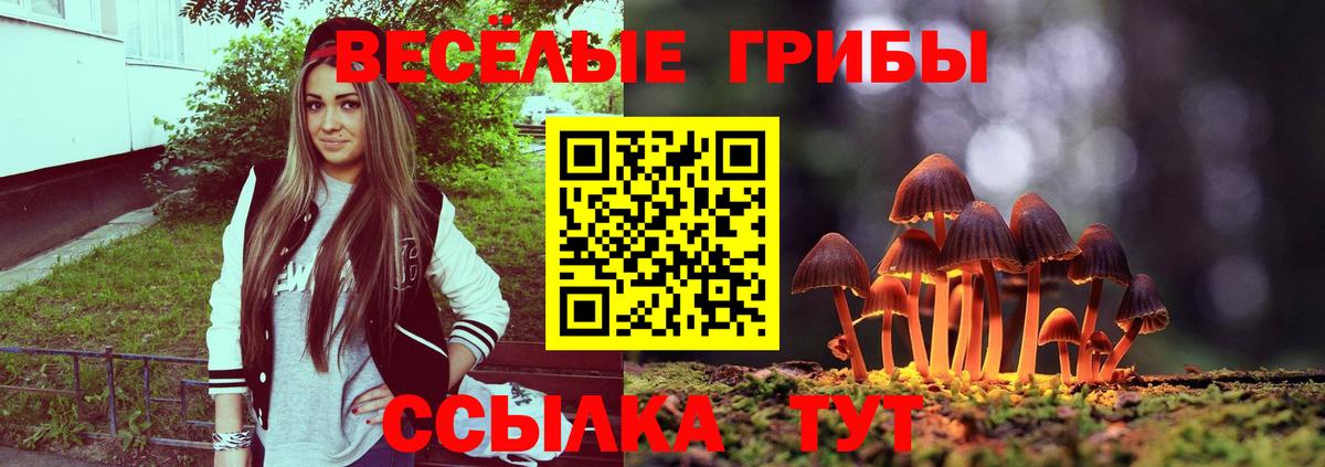 Псилоцибиновые грибы Cubensis  Вход с VPN  Бийск 
